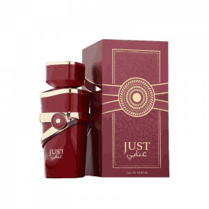 Comercial Caracas ZS El Tigre 29 PERFUME JUST ANABI FRAGANCE WORLD DAMA 100ML